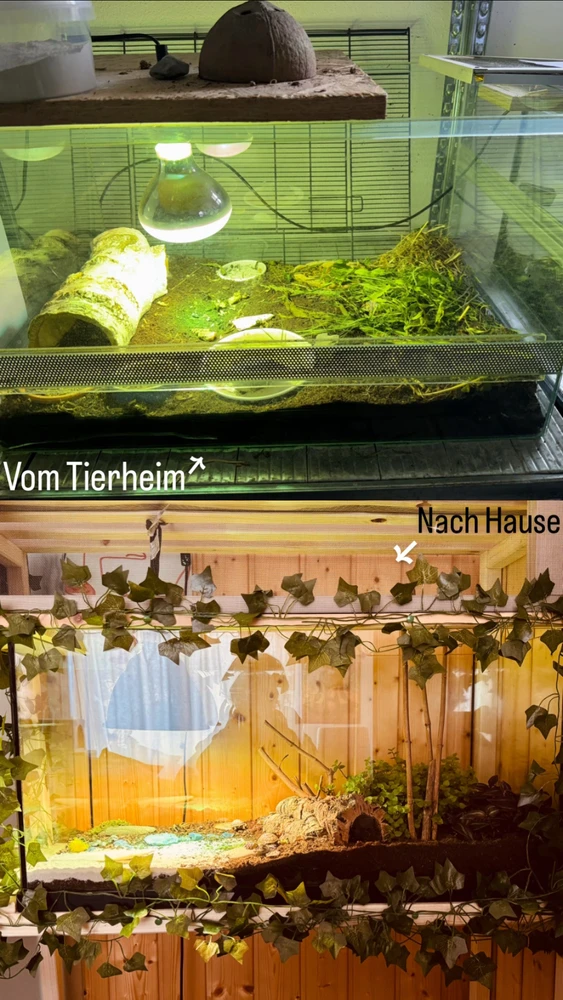 Bild hochgeladen von Angi