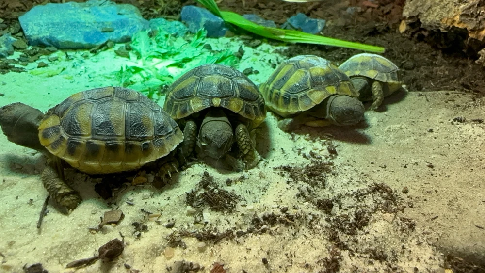 Bild hochgeladen von Angi