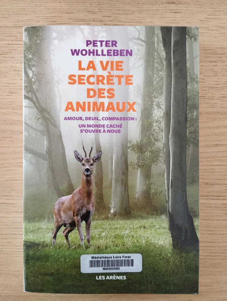 GIF ajouté par Emilie