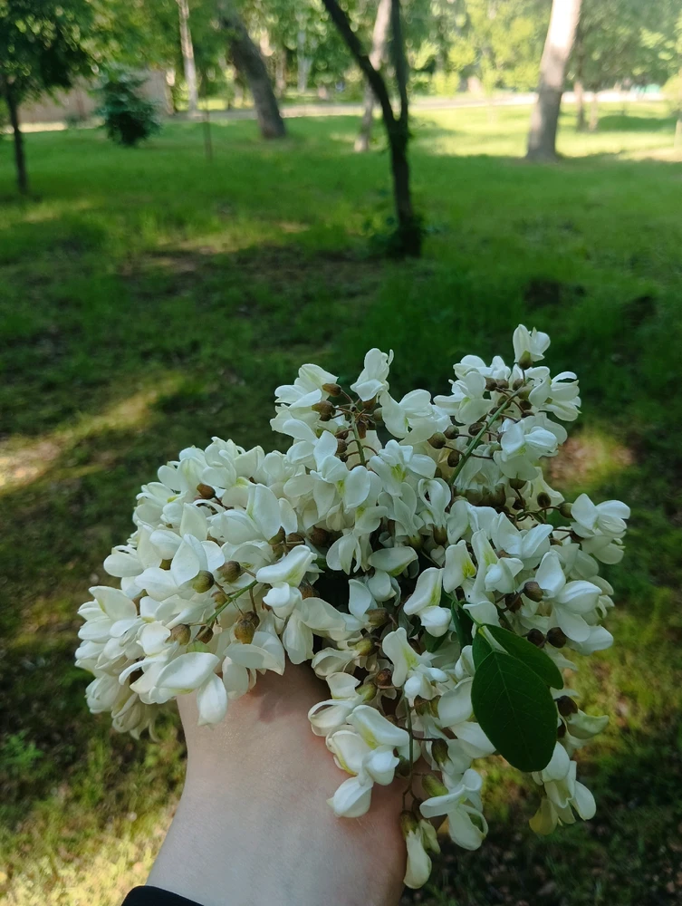 Фото загрузил teentnya