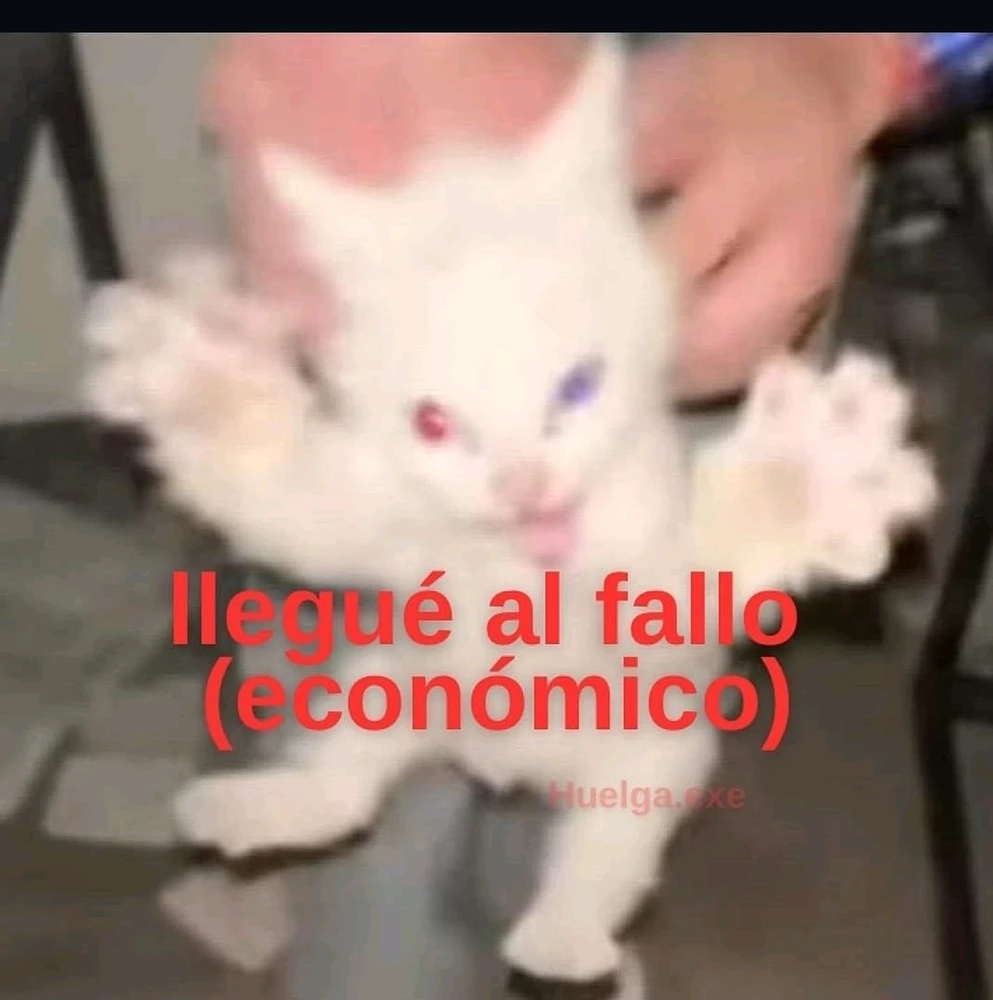 GIF subido por Murilo