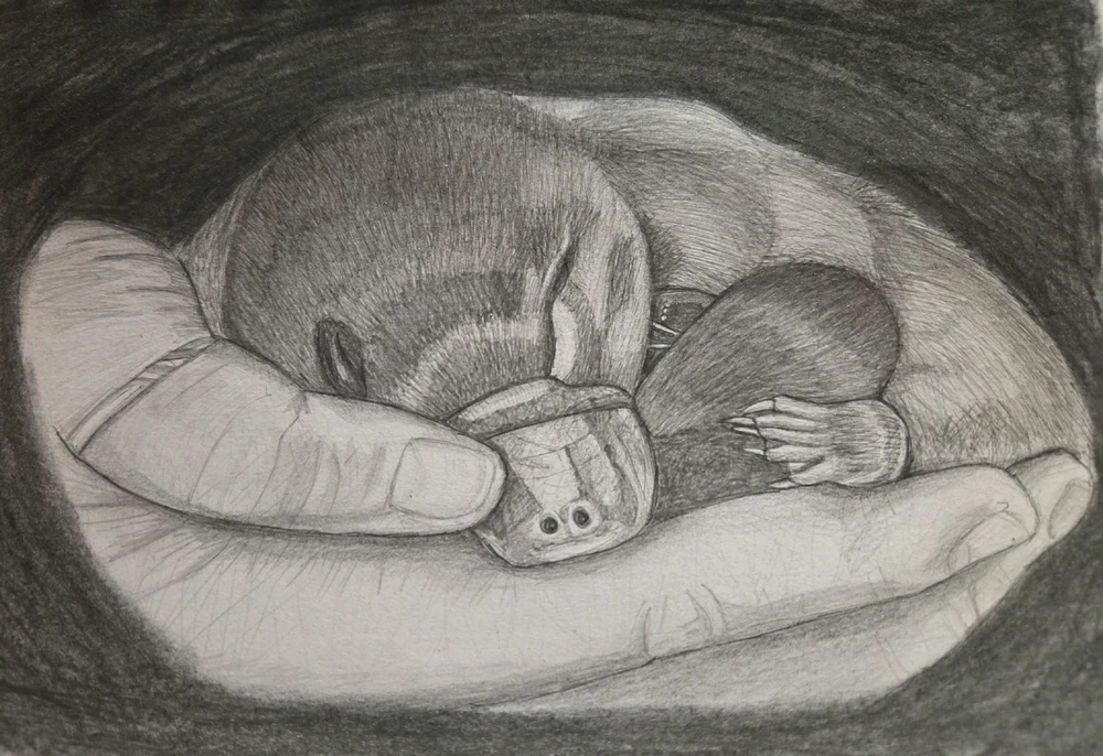 GIF uploaded by Babs