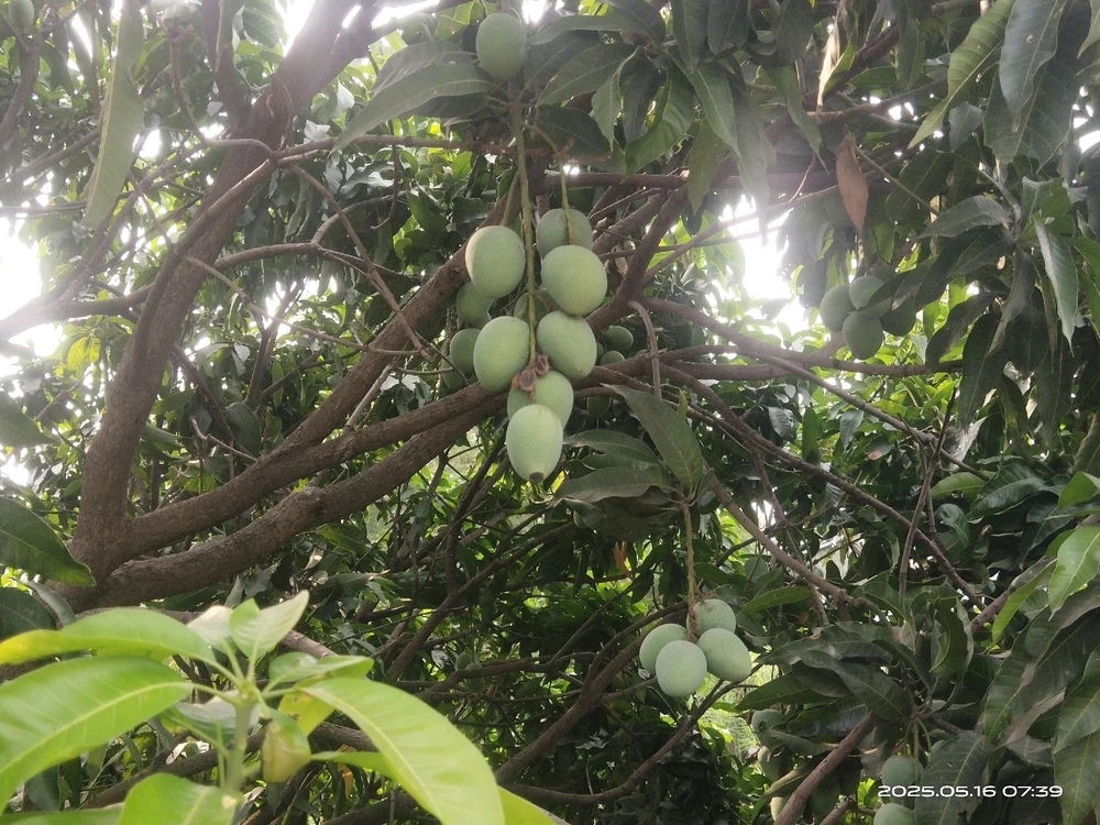 GIF uploaded by Harsh Singh