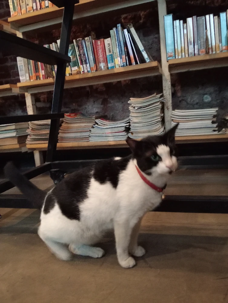 GIF uploaded by brilly