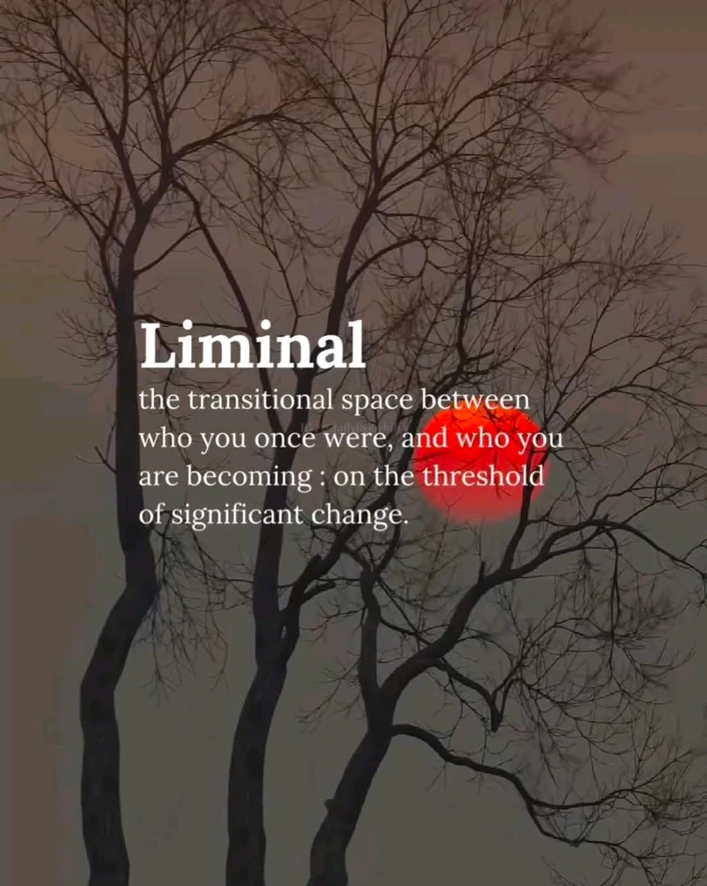 GIF hochgeladen von Hackfleischhassenderzerhacker