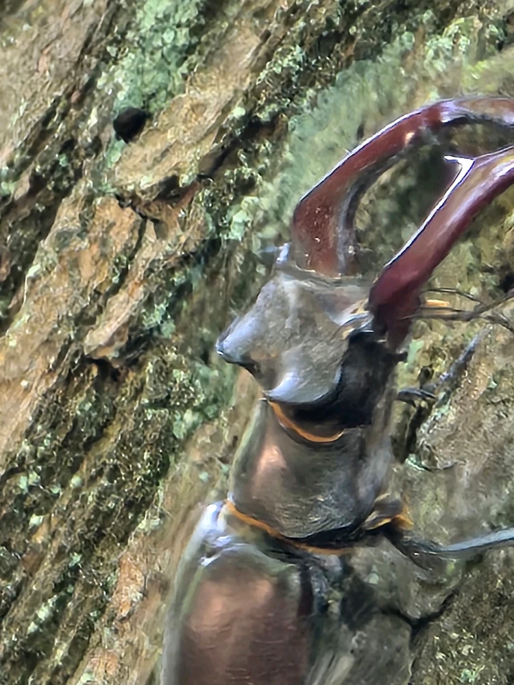 Bild hochgeladen von Sebastian