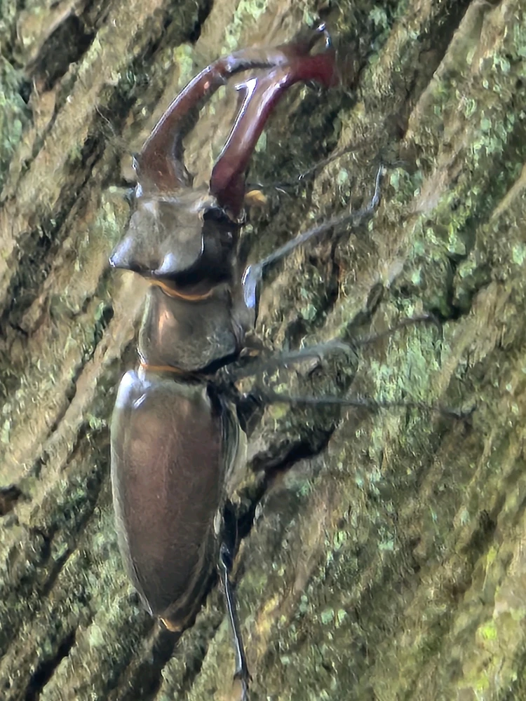 Bild hochgeladen von Sebastian