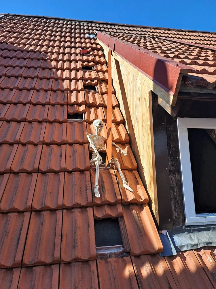 Bruno und ich Teil 4