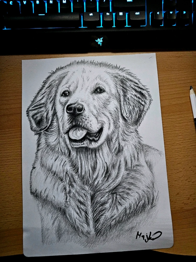 GIF uploaded by Michael