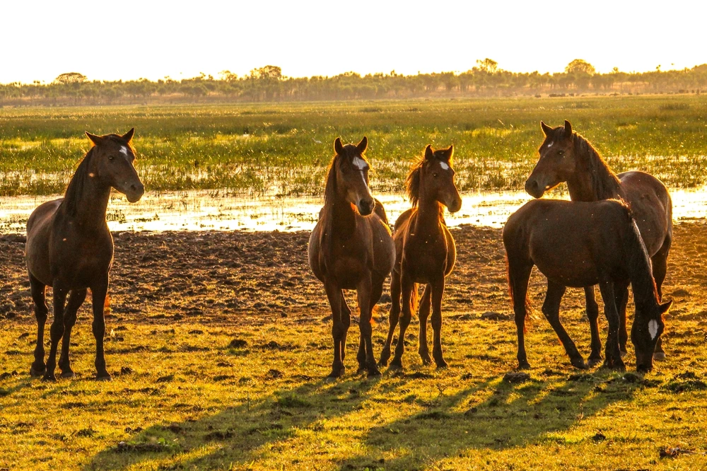 Gambar diunggah dening Kris