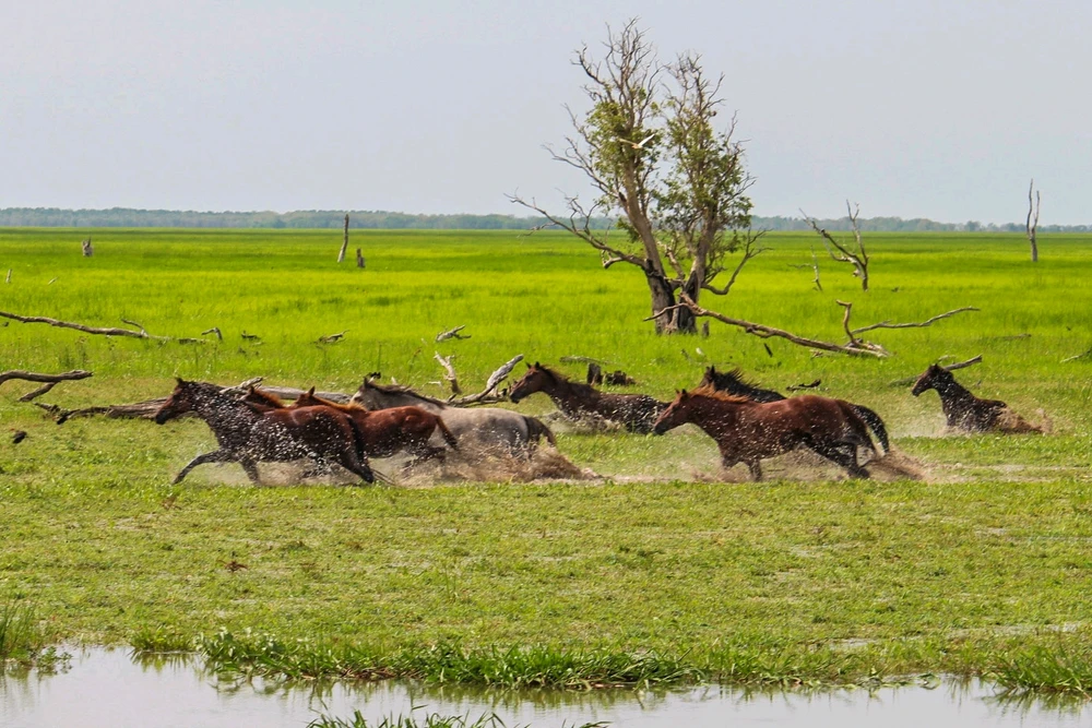 Gambar diunggah dening Kris