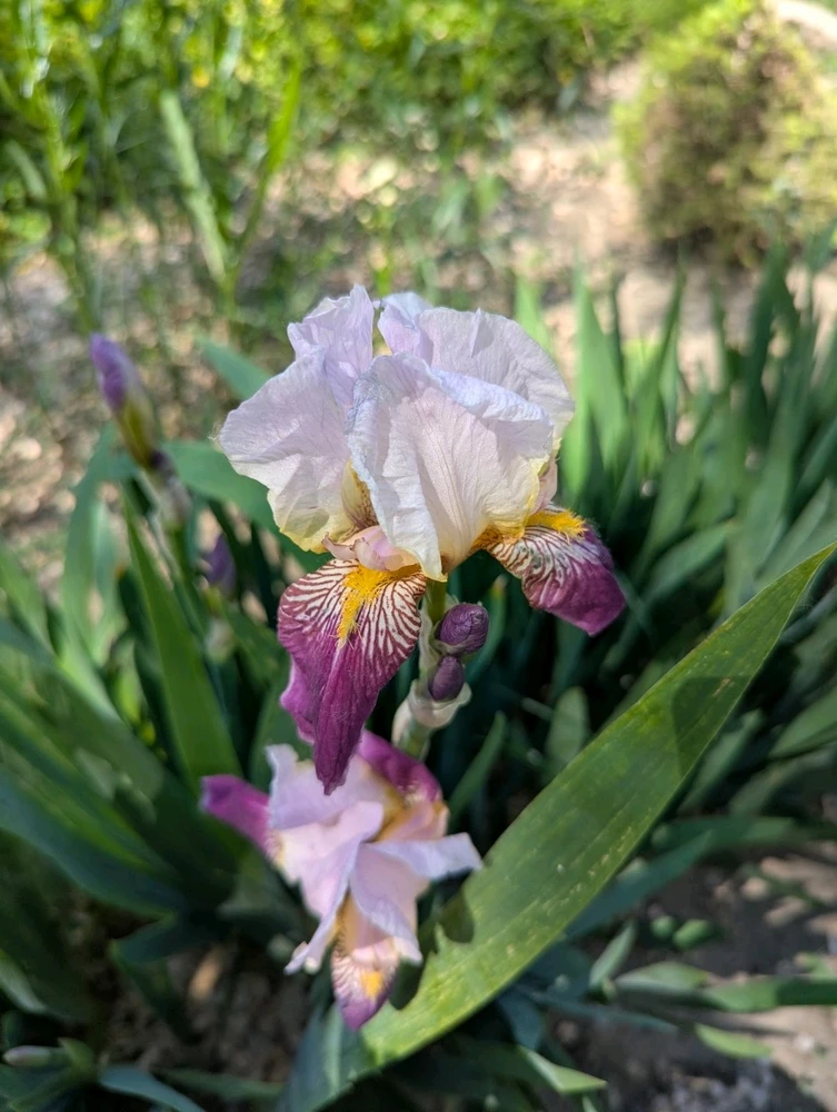 GIF uploaded by RAY