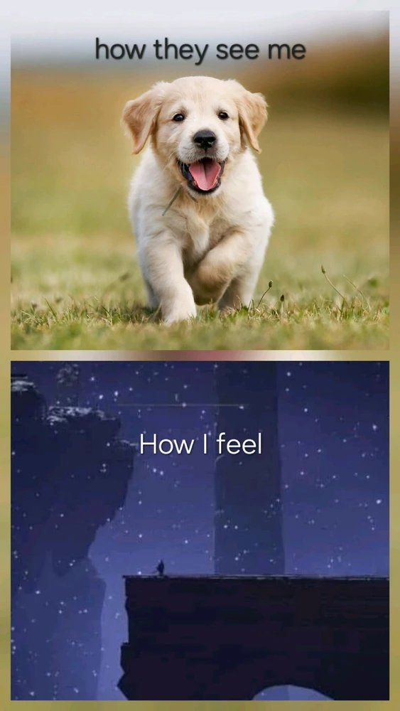 GIF caricata da Federico