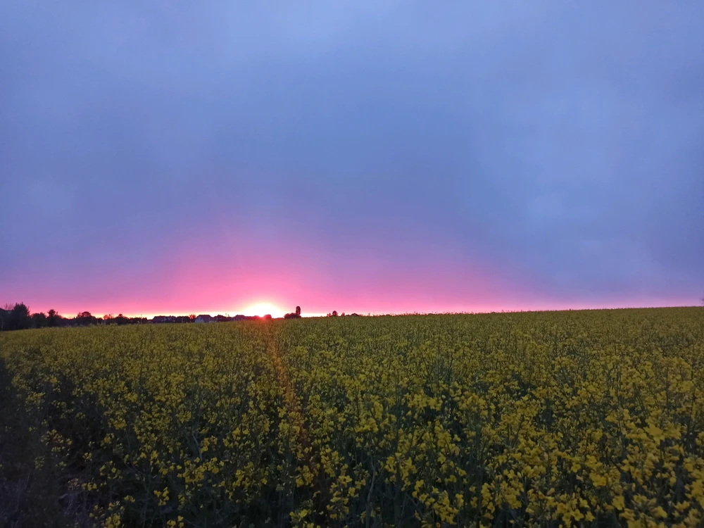 GIF загрузил Виктор