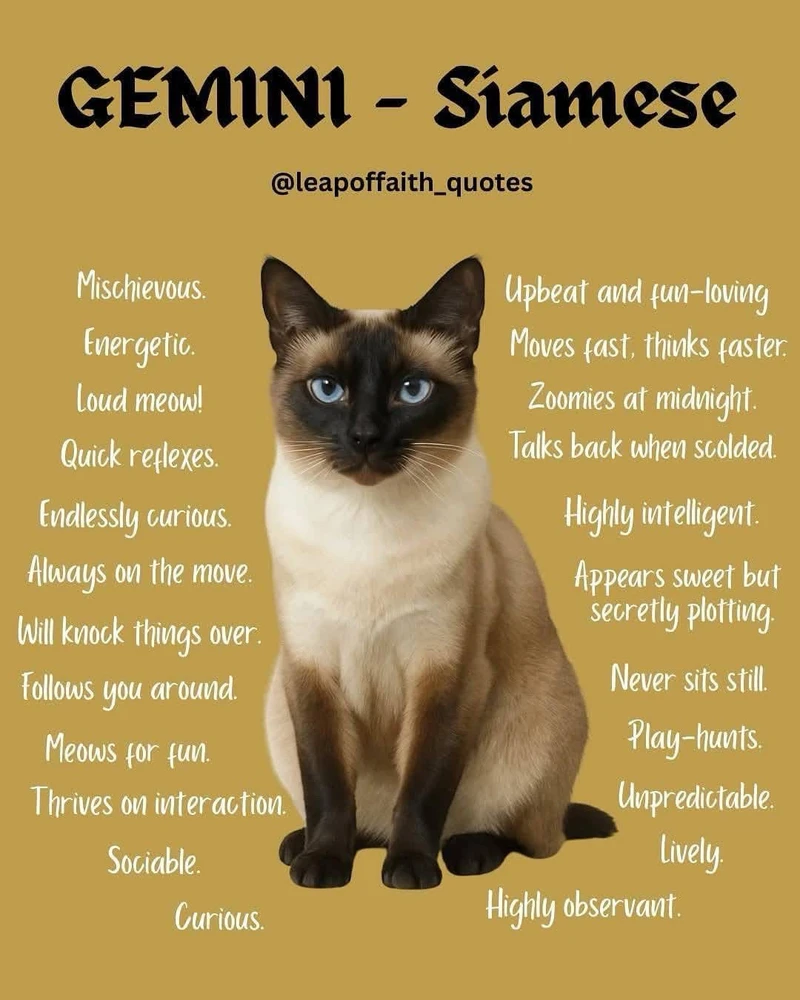 Image uploaded by β³β΄πππΎπβπππΆπ