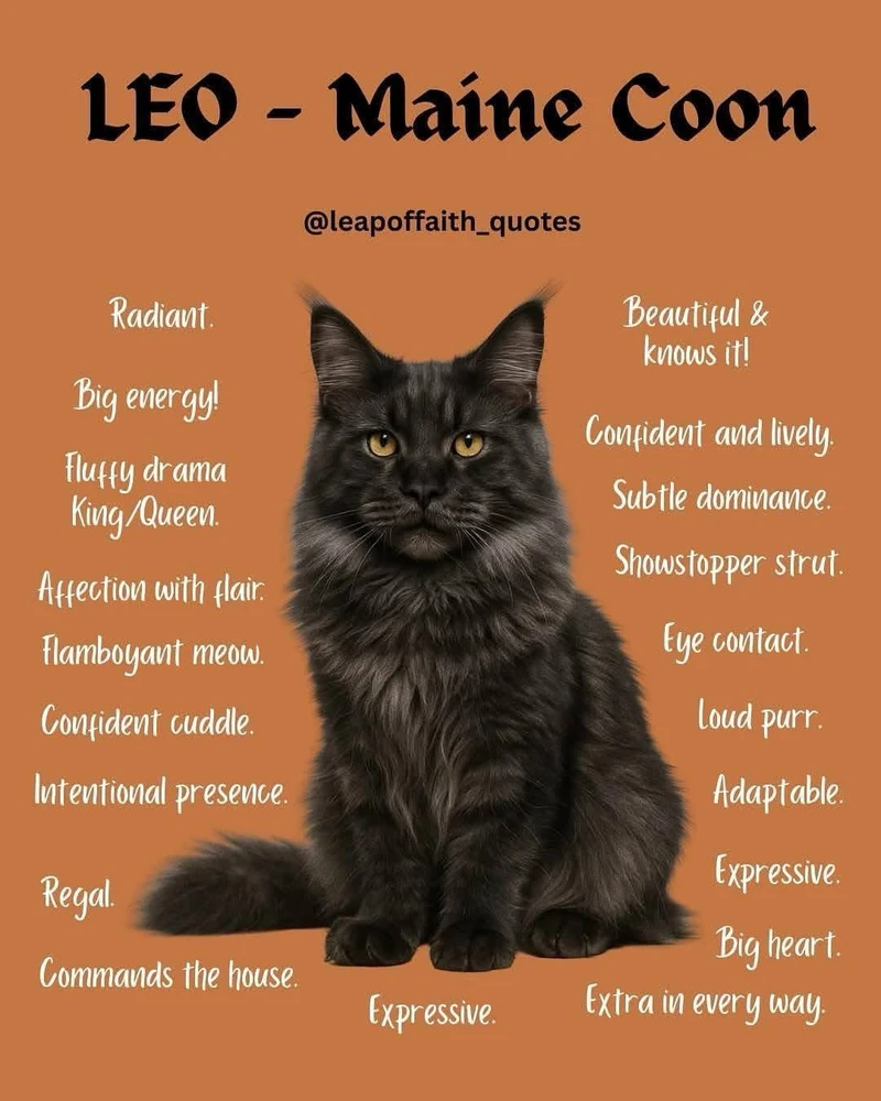 Image uploaded by β³β΄πππΎπβπππΆπ