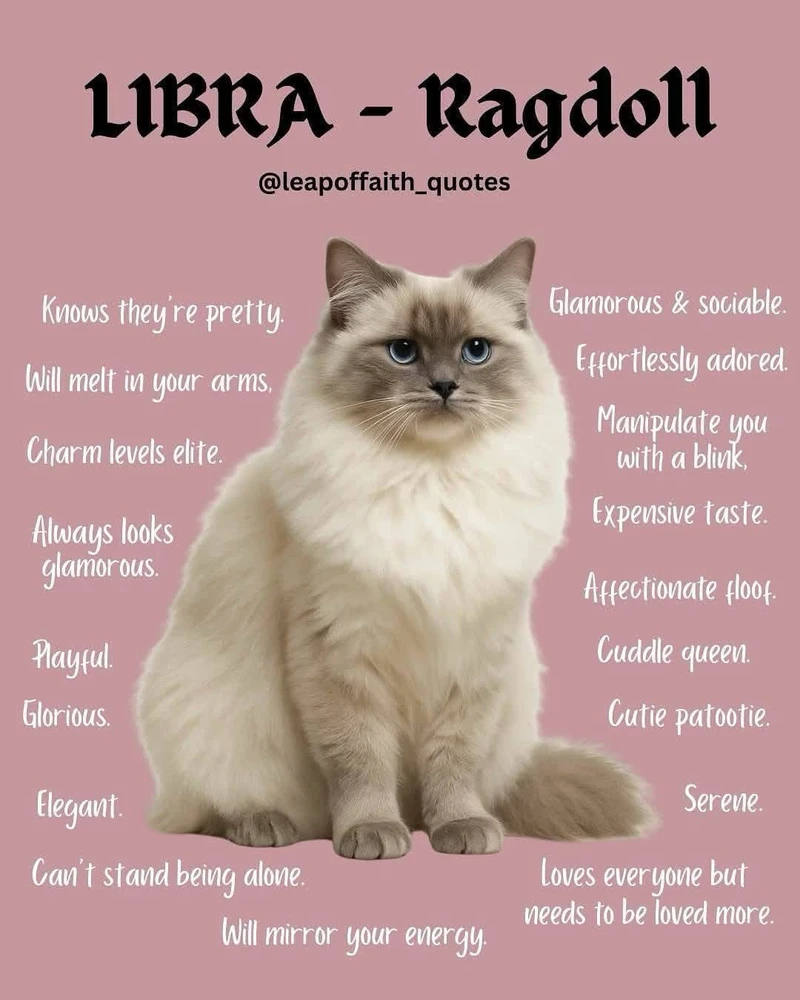 Image uploaded by β³β΄πππΎπβπππΆπ