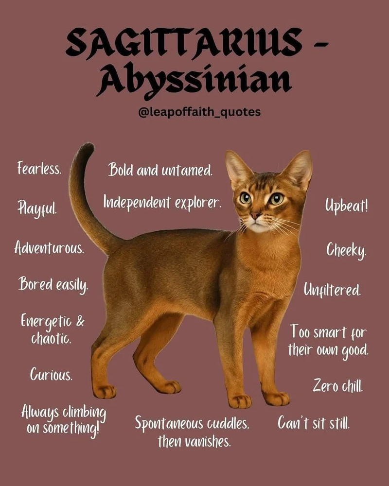 Image uploaded by β³β΄πππΎπβπππΆπ