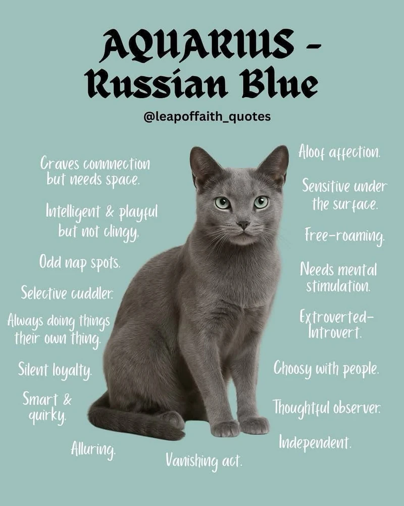 Image uploaded by β³β΄πππΎπβπππΆπ
