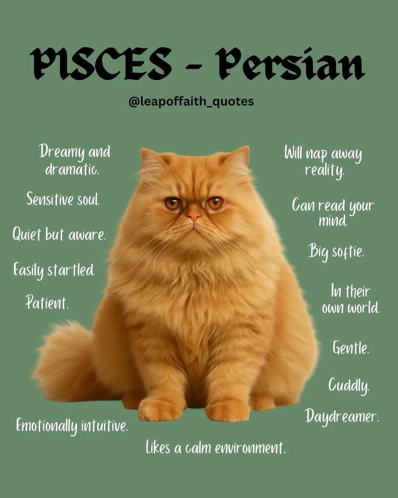 Image uploaded by β³β΄πππΎπβπππΆπ