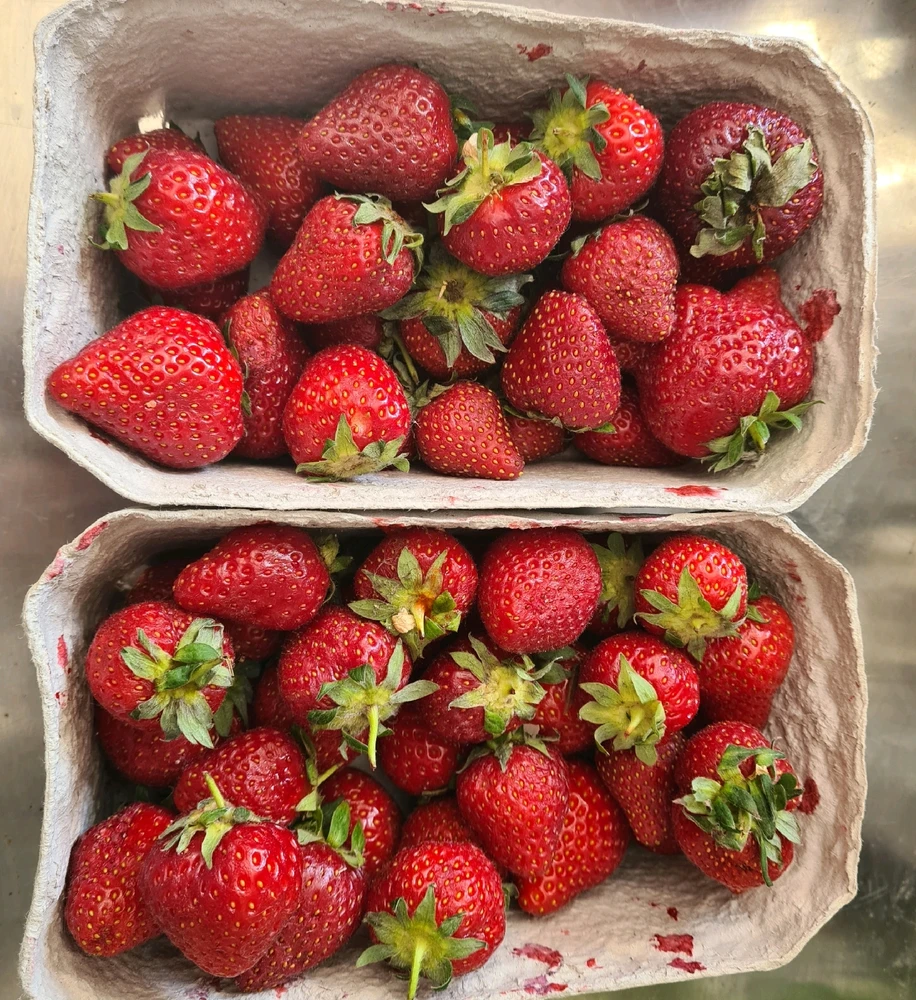 Mimi님이 올린 사진