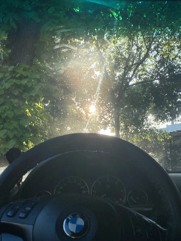 GIF subido por Zi No