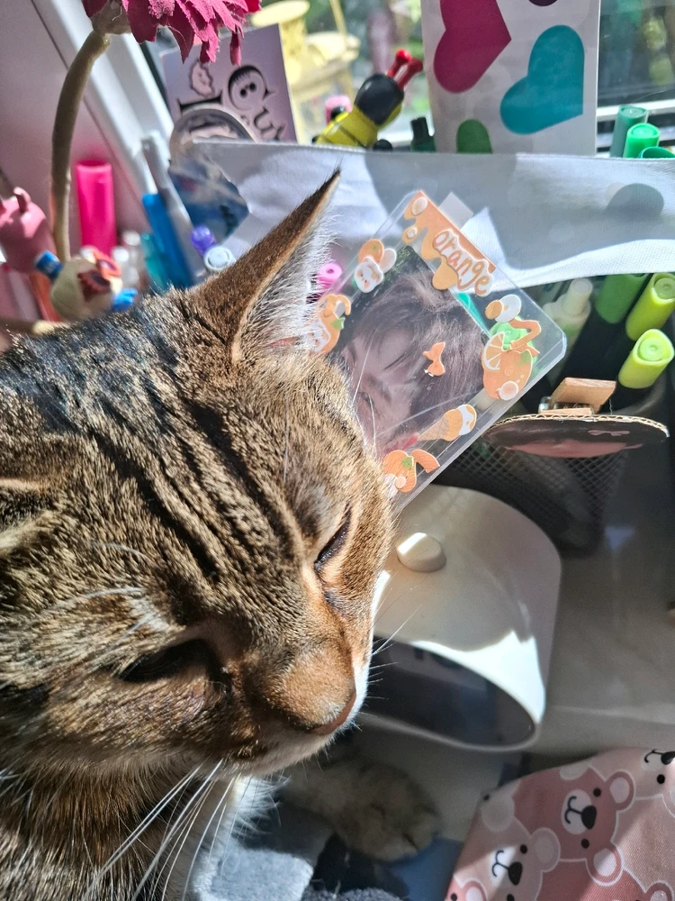 Image uploaded by Gabriel