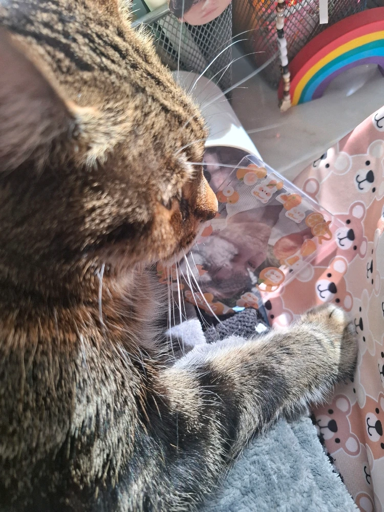 Image uploaded by Gabriel