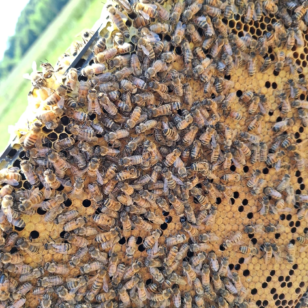 GIF uploaded by Luke