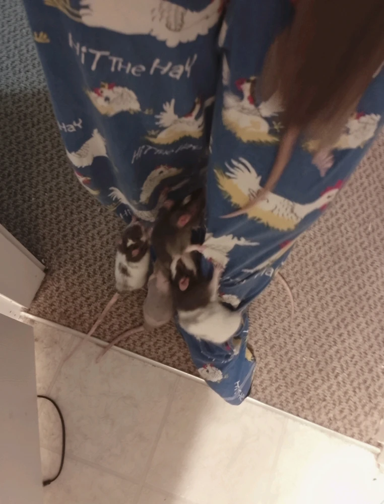 GIF uploaded by Megan