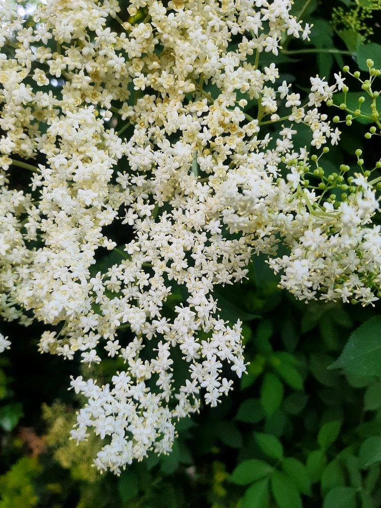 GIF uploaded by Sepide