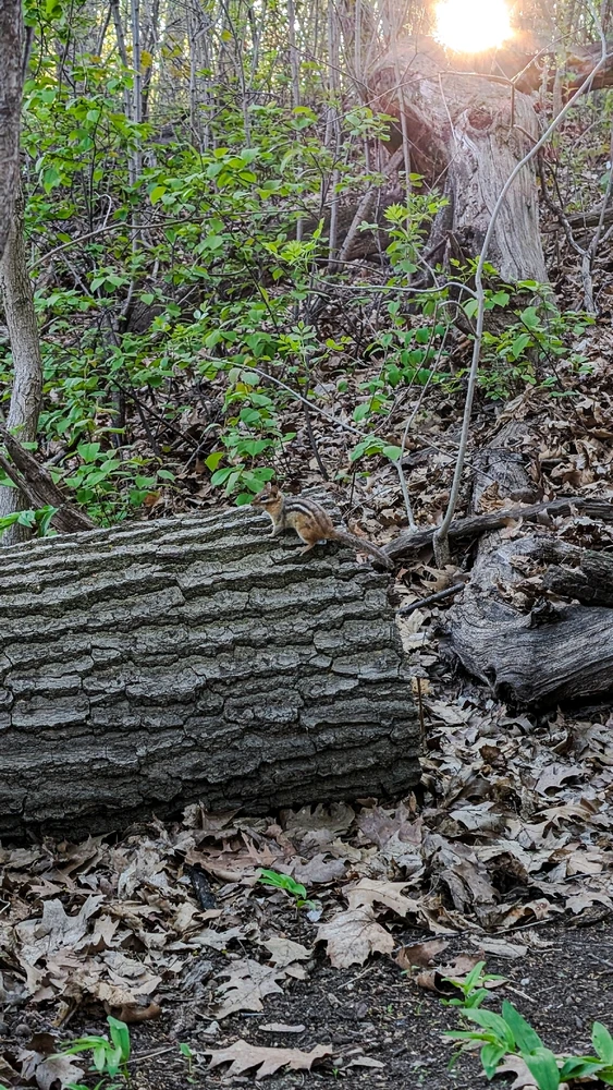 GIF diunggah dening Dana