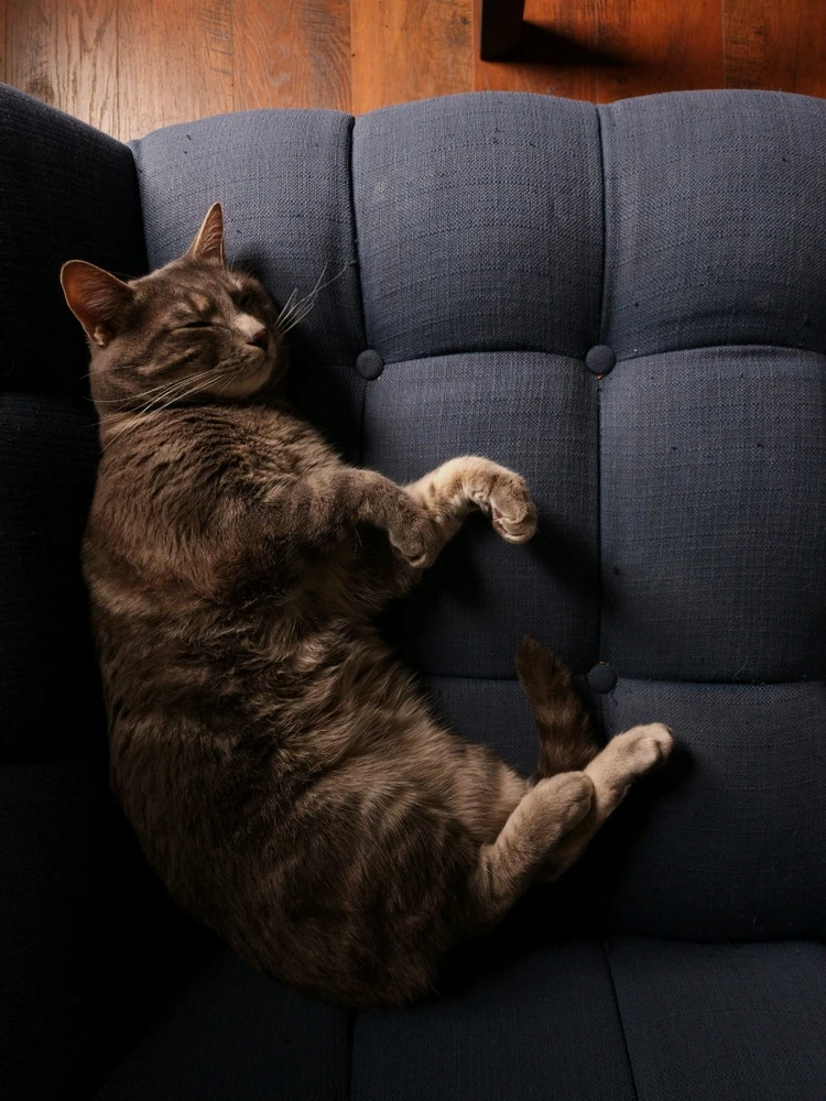 Image uploaded by Christian