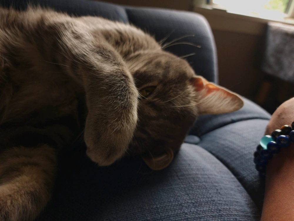 Image uploaded by Christian