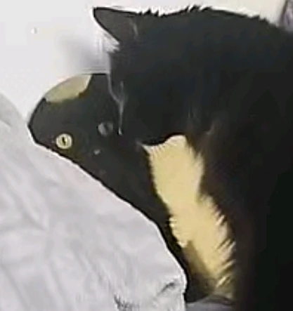 Image uploaded by Christian