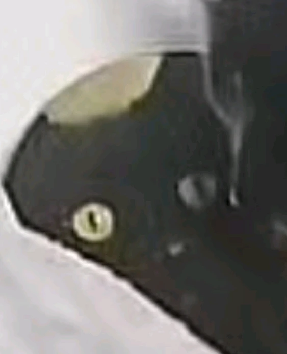 Image uploaded by Christian