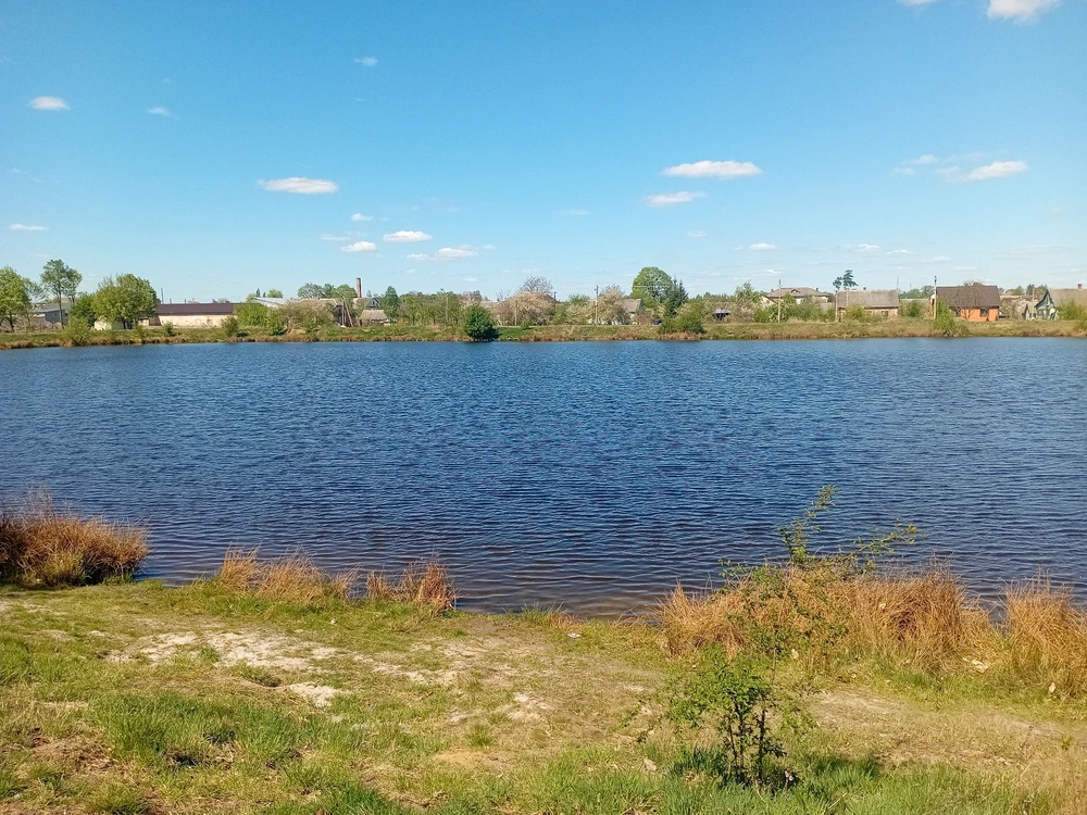 Зображення завантажив Софія