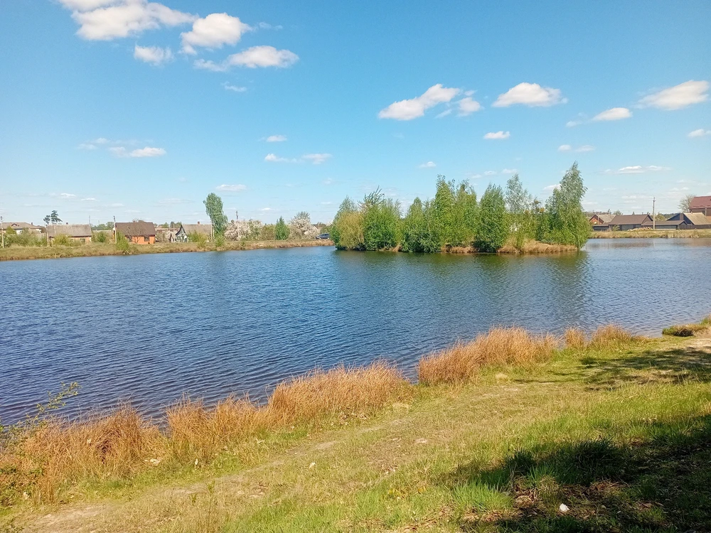 Зображення завантажив Софія