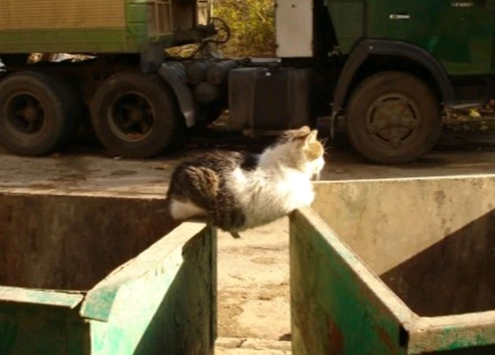 GIF geüpload door Melikşah