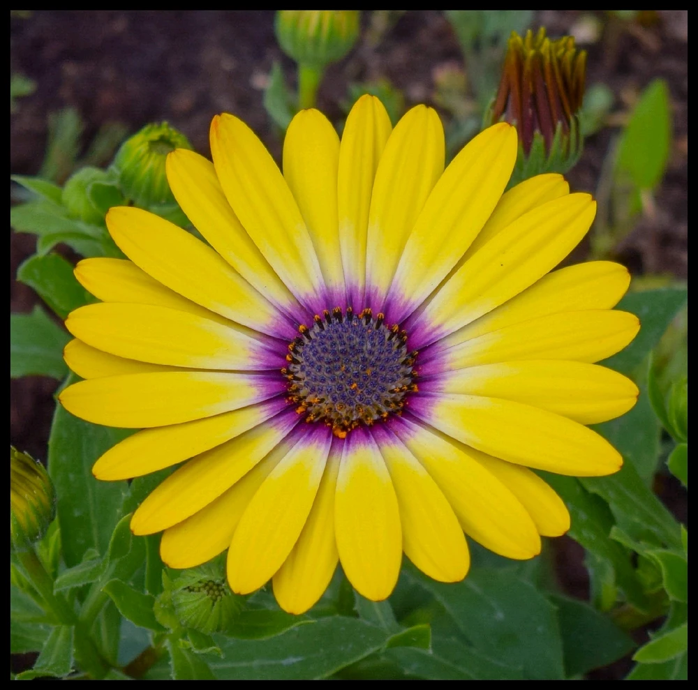 GIF ajouté par Caroline