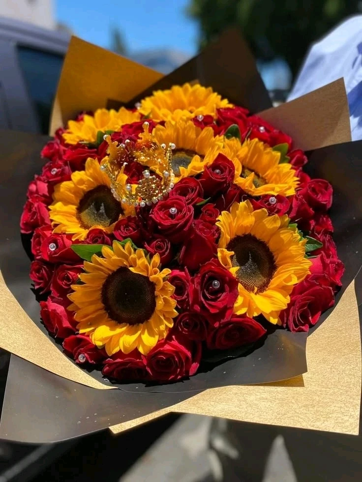 GIF uploaded by Dr V