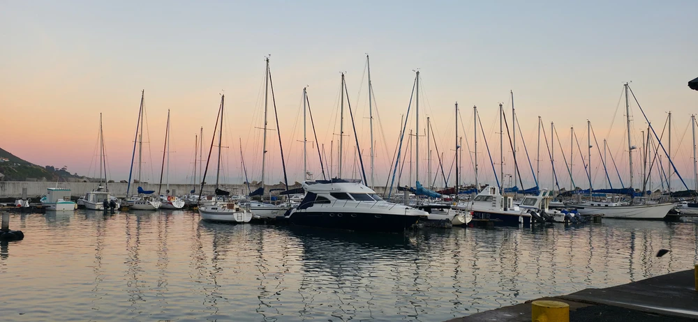 Image uploaded by Arcticblue