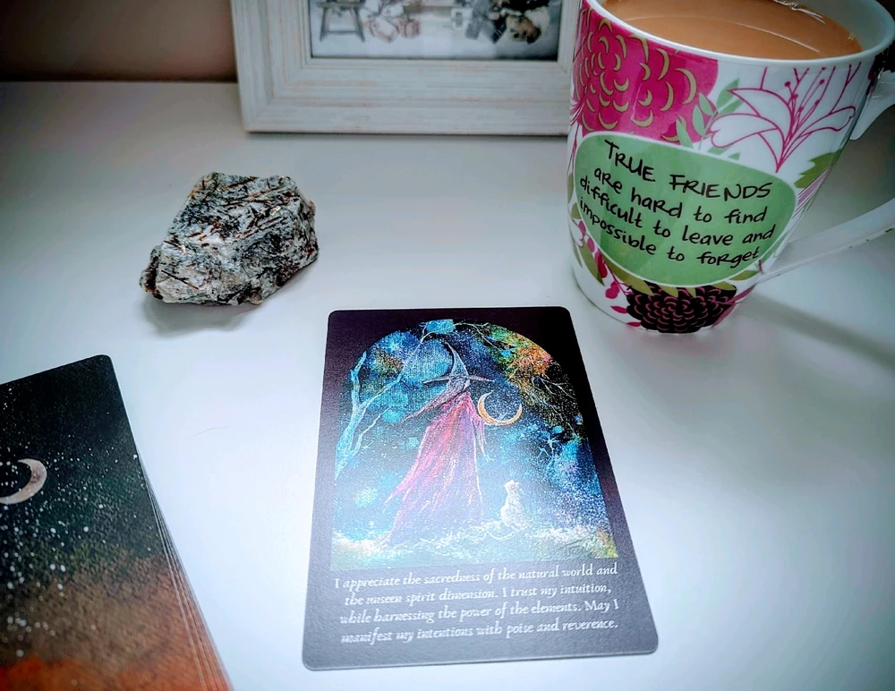 GIF uploaded by Melissa