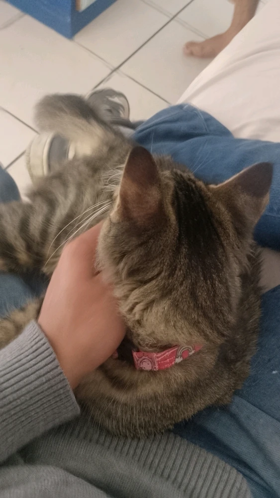 Imagem enviada por Rafael