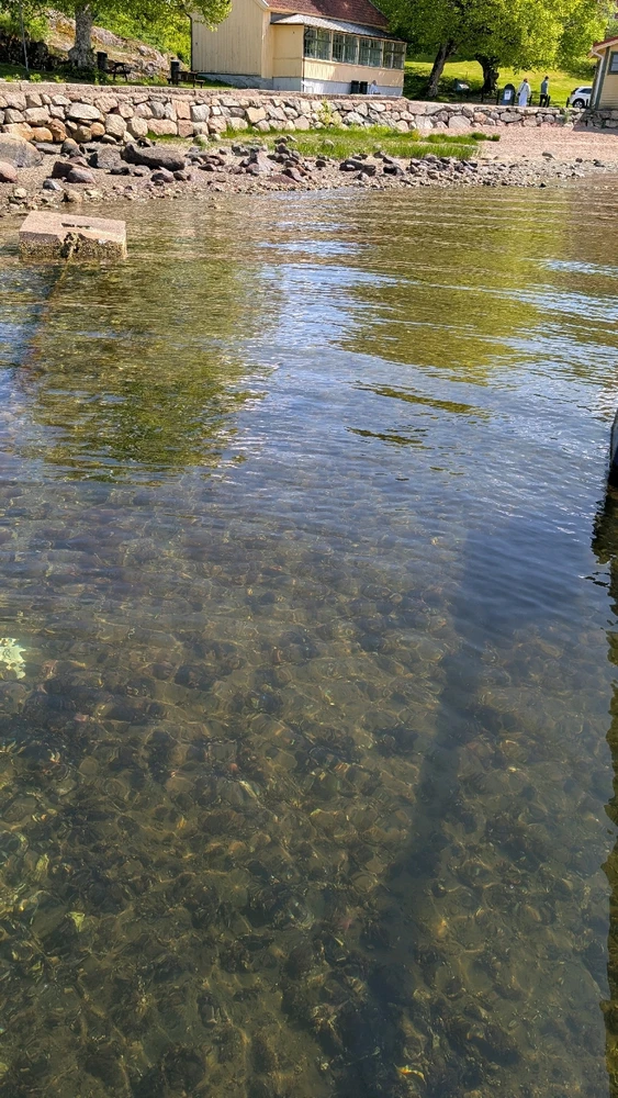 Image uploaded by Petter