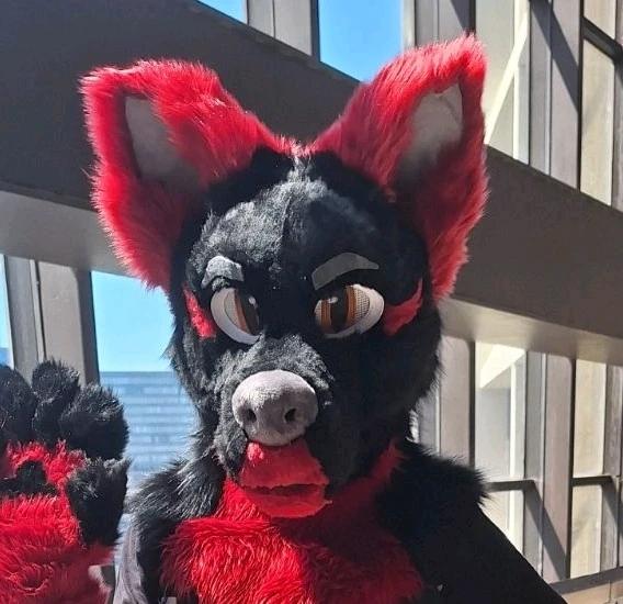 Image uploaded by Tyler