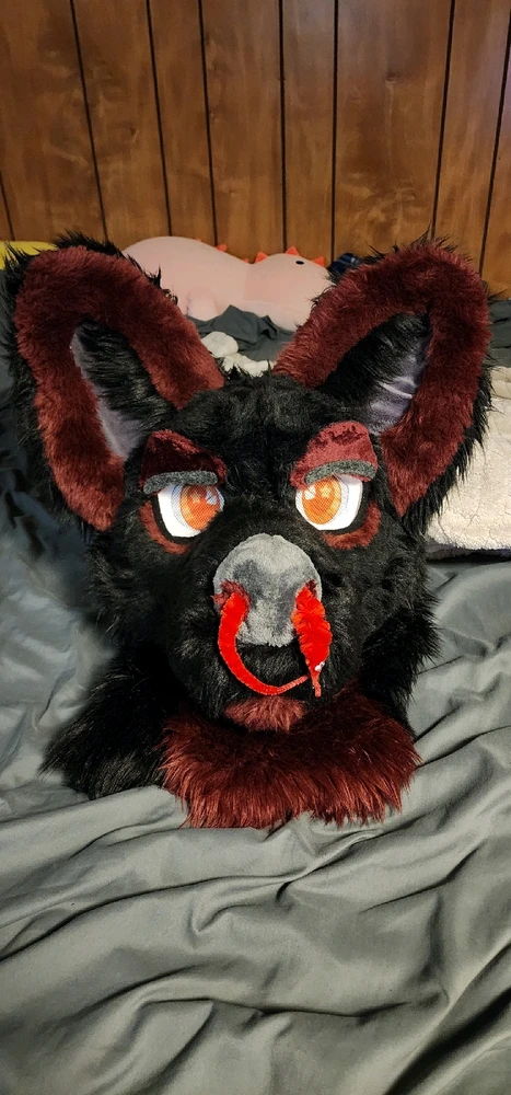 Image uploaded by Tyler