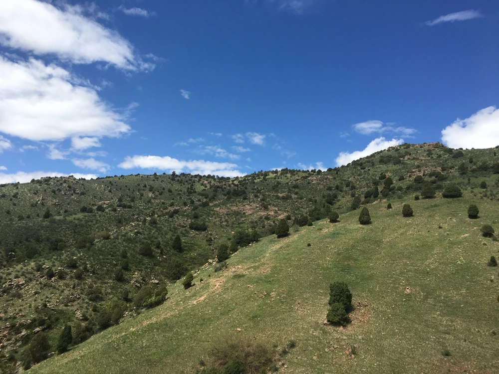 GIF uploaded by Asger