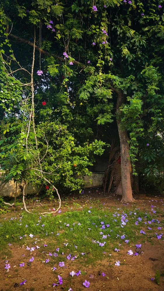 GIF uploaded by Sivanath