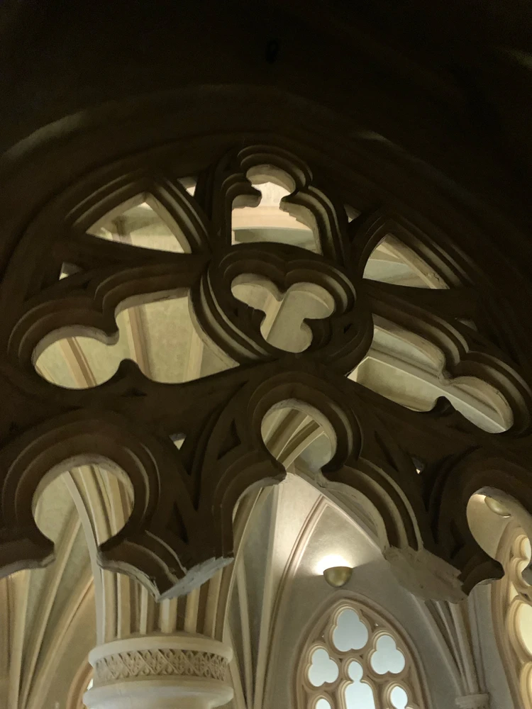 Obrázek nahrál Kolonoskopie